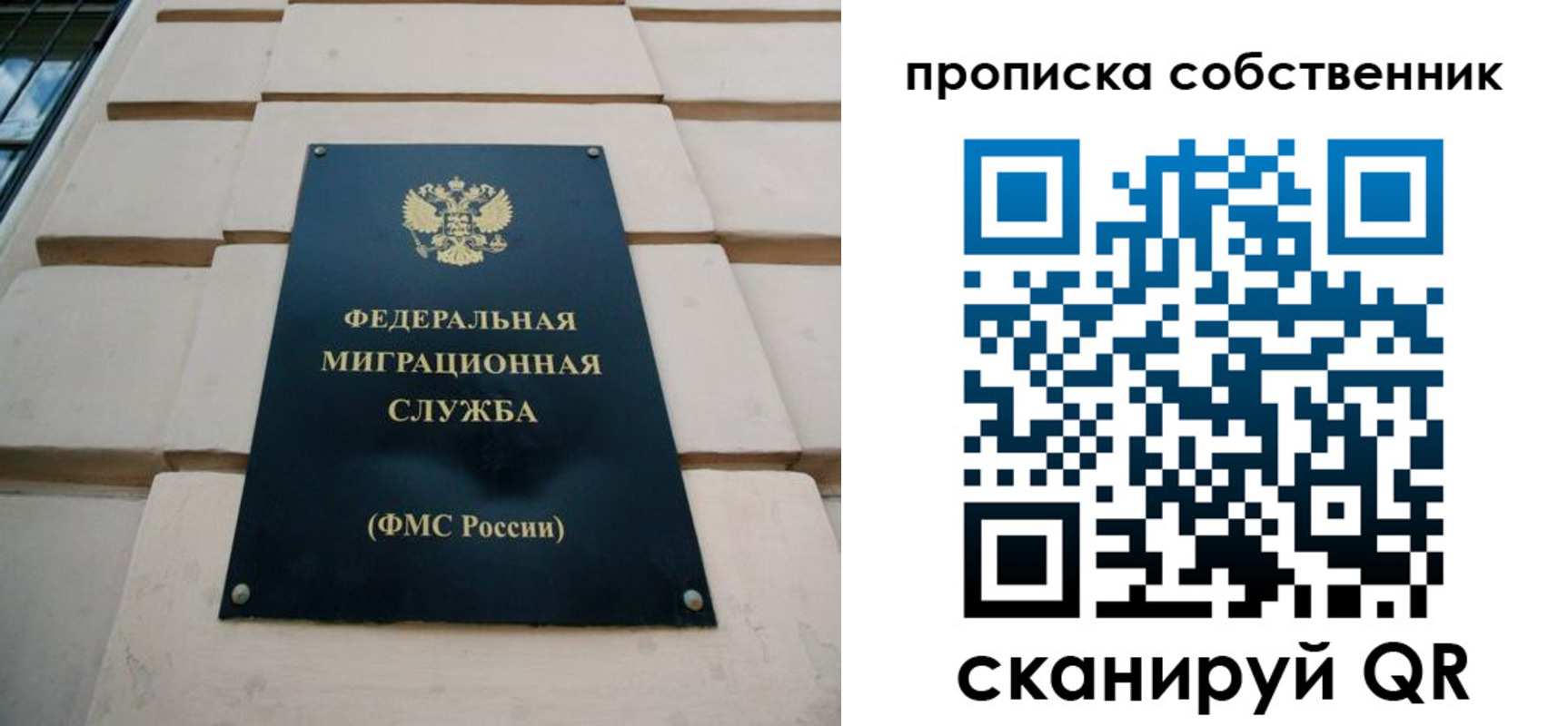 прописка законно в Александровске